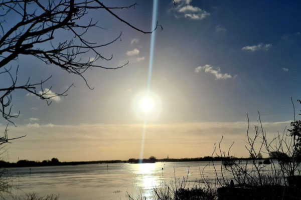 IJssel Dieren. Foto: Studio Rheden