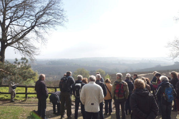 IVN organiseert Doorstapwandeling op de Posbank. Foto: IVN