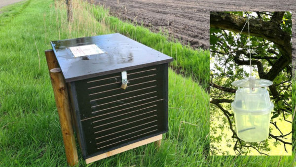 Predatoren kasten. Foto: Rheden