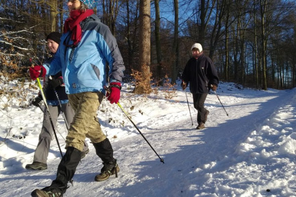 Nordic Walking is meer dan ‘lopen met stokken’ in de sneeuw. Foto: AVGelre