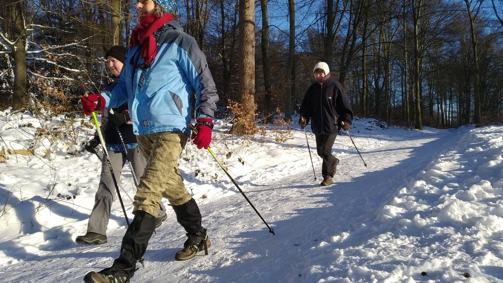 Nordic Walking is meer dan ‘lopen met stokken’ in de sneeuw. Foto: AVGelre