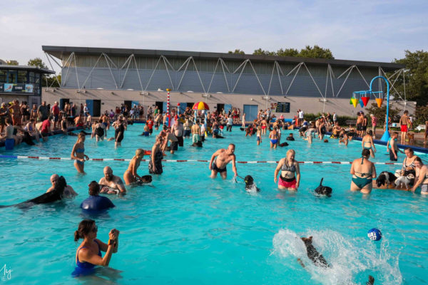 Honden mogen twee uur lang gratis zwemmen in Openluchtbad Rheden. Foto: Rob de Lelij