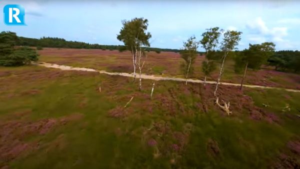 Drone beelden uit de gemeenten Rheden en Rozendaal Foto: Still YouTube