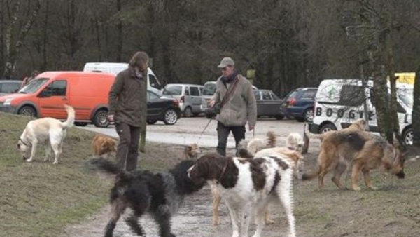 Foto: Omroep Gelderland Foto: Omroep Gelderland (archief)