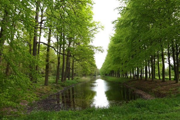 Gelderland wil 1700 hectare bos extra Foto: Studio Rheden