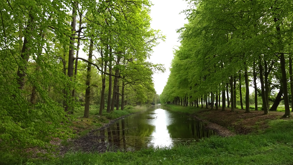 Gelderland wil 1700 hectare bos extra Foto: Studio Rheden