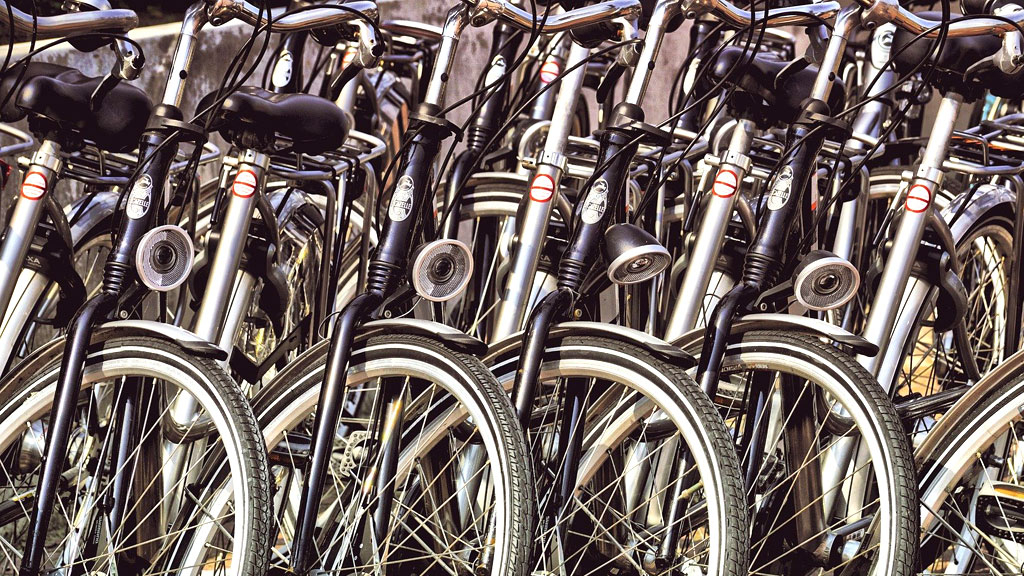 Twee mannen uit Dieren aangehouden voor stelen honderden e-bikes Foto: Studio Rheden