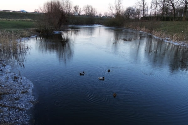 Hoe komt Dorpspark de Laak eruit te zien