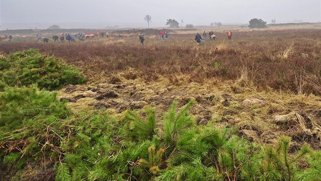 Handhavers gaan streng controleren op het Rozendaalse Veld Foto: Martin de Jongh