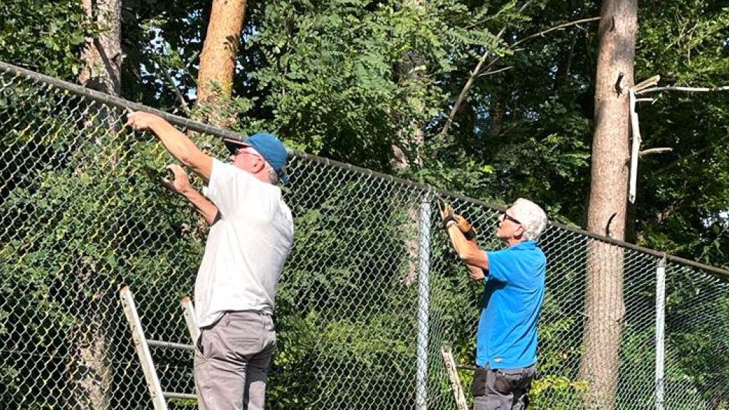 Hekwerk op oude tennisvelden worden verwijderd. Foto: TVDieren