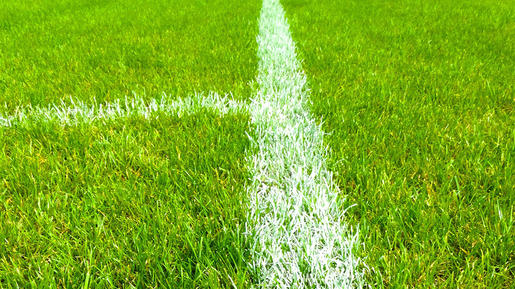 Geen illegale voetbalwedstrijden in gemeente Rheden Foto: Studio Rheden