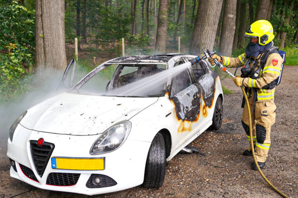 Auto brandt volledig uit op parkeerplaats bij het bos Foto: Studio Rheden