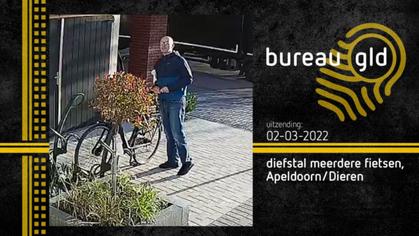 Wie is deze fietsendief? Foto: politie/Bureau GLD