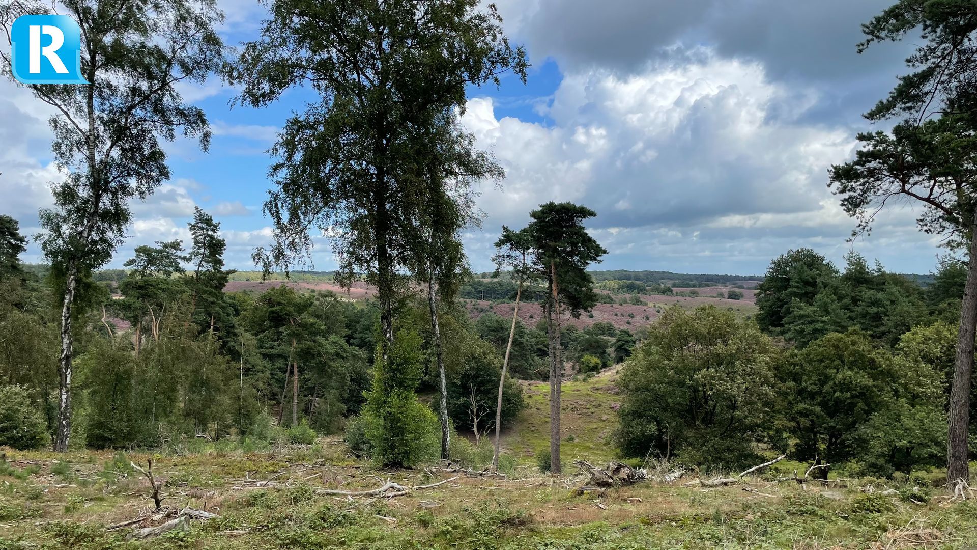 Ochtendwandeling van een uur in Rozendaals bos moet mensen fit aan werkdag laten beginnen