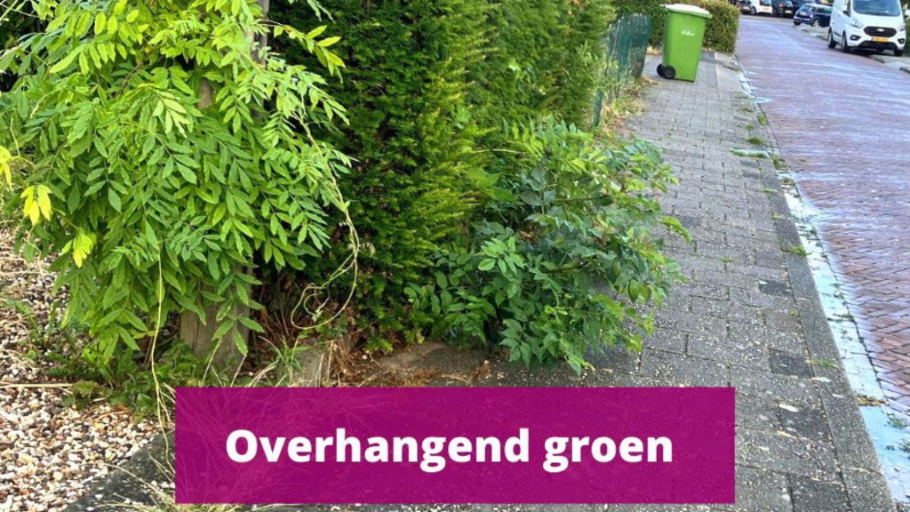 Rheden vraagt: hou je tuin netjes. Inwoners zeggen: doe het eerst zelf ...