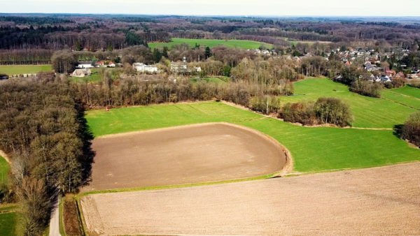 Op dit veld moeten koeienstallen gaan komen. Foto: Omroep Gelderland