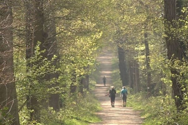 Wandelen in de natuur