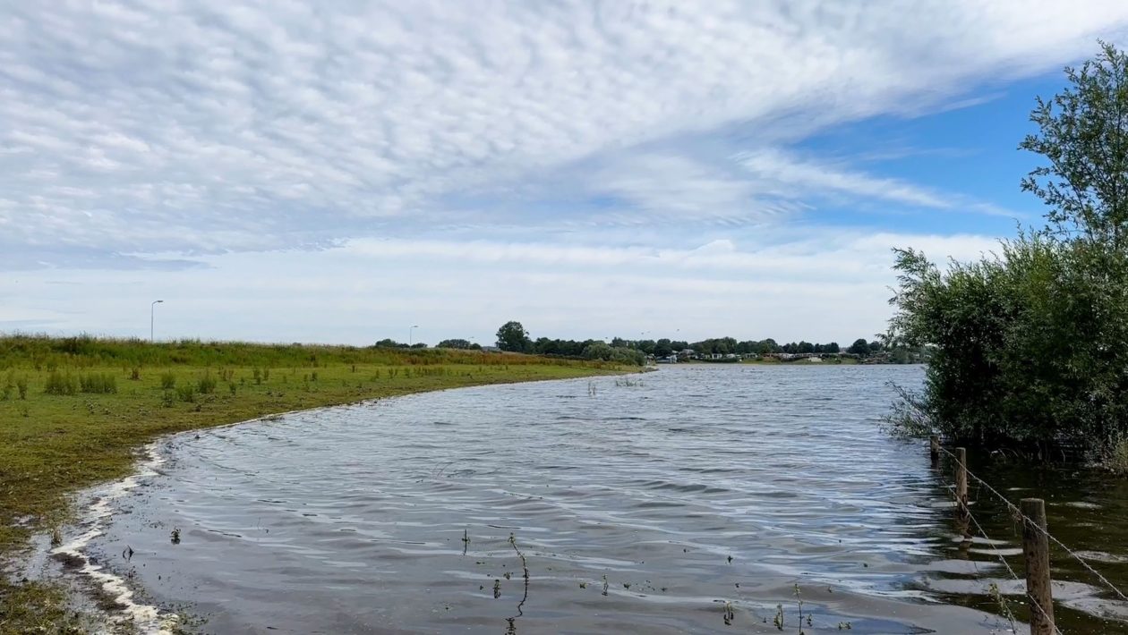 Rhederlaag bij Lathum Foto: Omroep Gelderland