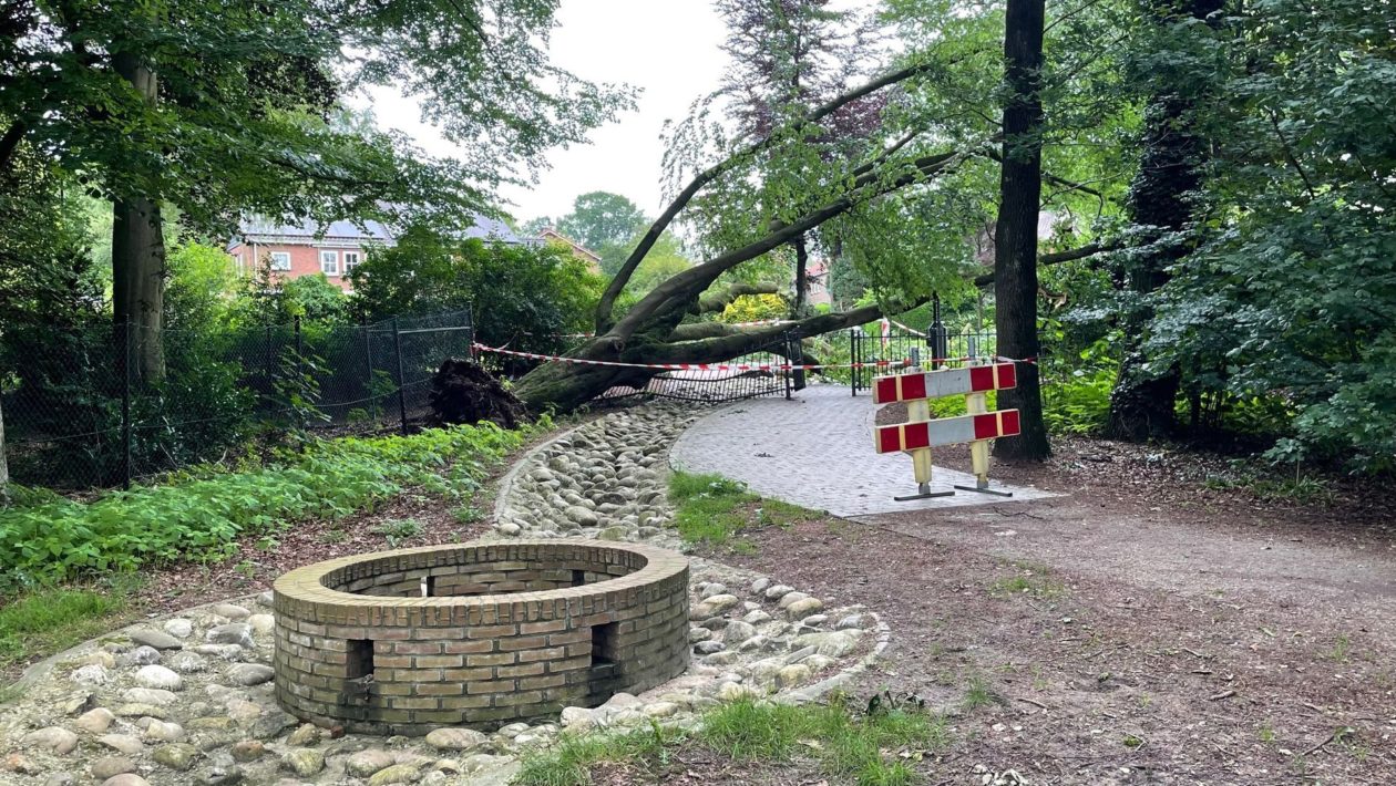 Grote boom vernielt hek Park Daalhuizen in Velp Foto: Martin Slijper