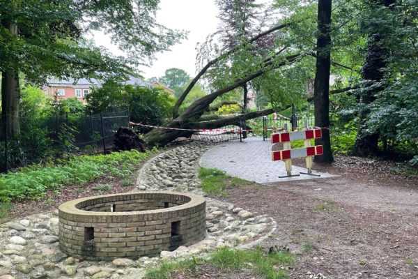 Grote boom vernielt hek Park Daalhuizen in Velp Foto: Martin Slijper