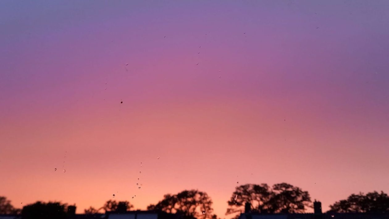 In deze foto is het kleurverloop van de lucht goed te zien. Foto: Monique Hartjes