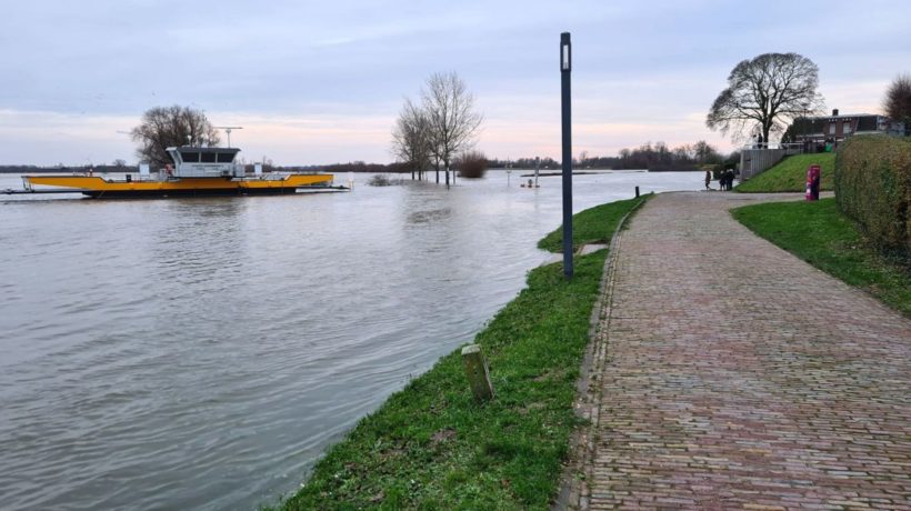 IJssel en Veerpont Dieren Foto: Studio Rheden