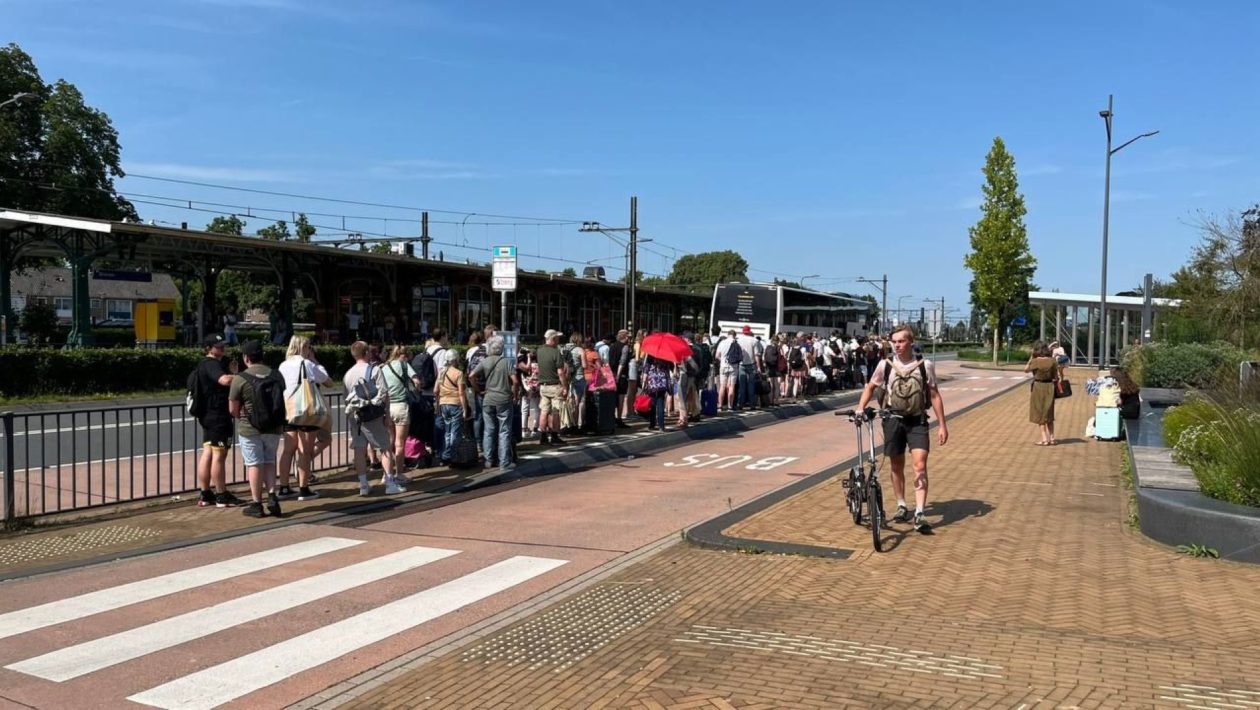 Lange rijen voor de bus in Dieren Foto: Omroep Gelderland