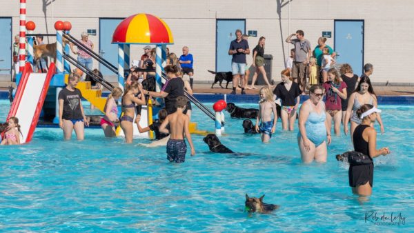 Hondenplons in openlucht zwembad de Hangmat in Rheden Foto: Rob de Lelij