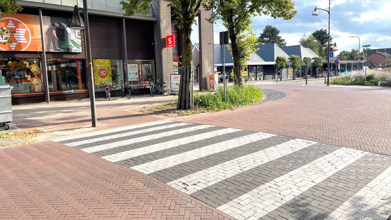 Dierenaren maken zich zorgen om lantaarnpaal Foto: Martin Slijper