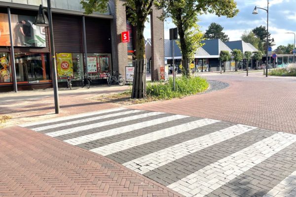 Dierenaren maken zich zorgen om lantaarnpaal Foto: Martin Slijper