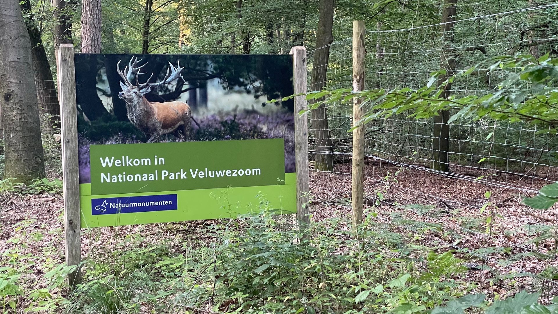 Kinderen kunnen een nacht kamperen midden in de natuur van Veluwezoom