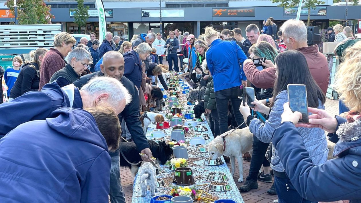 Dierendagbuffet in Dieren Foto: Martin Slijper