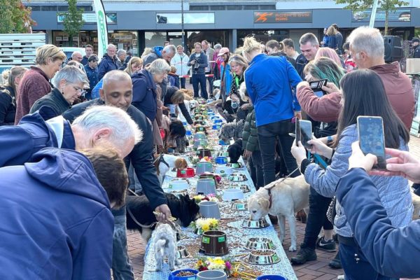 Dierendagbuffet in Dieren Foto: Martin Slijper