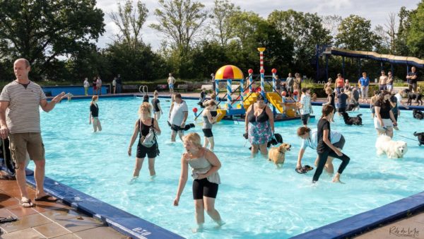 Hondenplons in openlucht zwembad de Hangmat in Rheden Foto: Rob de Lelij