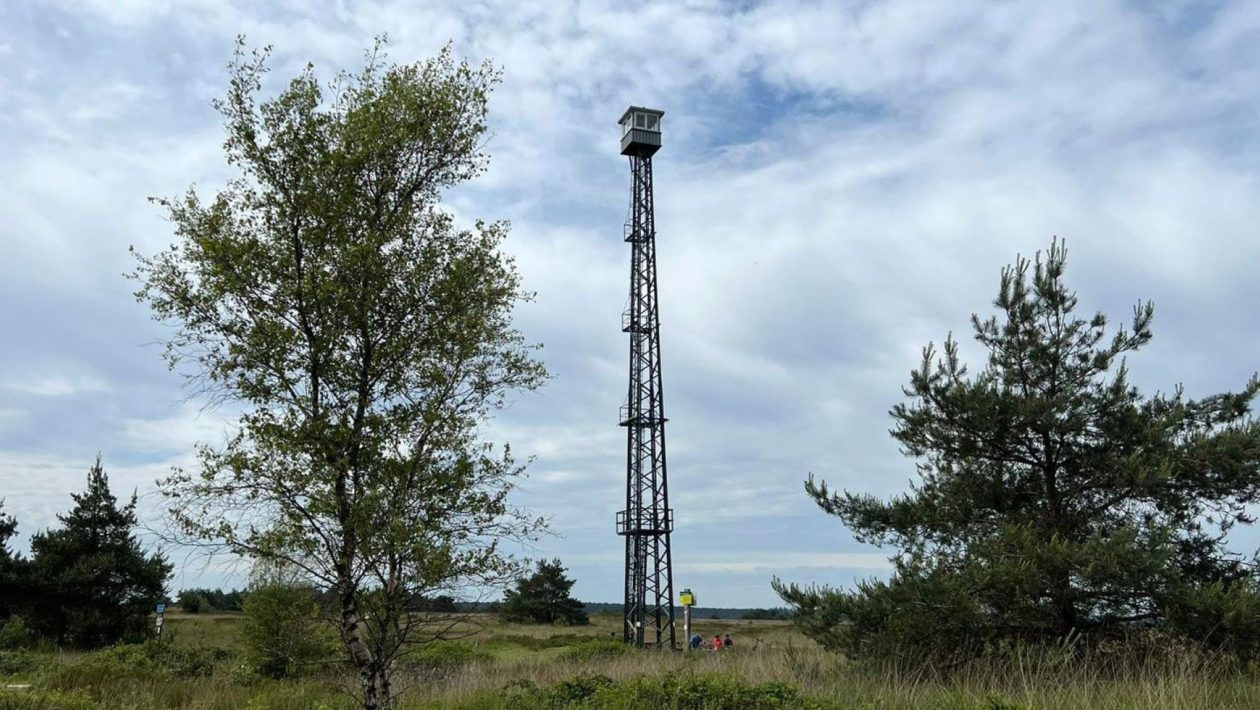 Brandtoren Rozendaalse Veld Foto: Studio Rheden