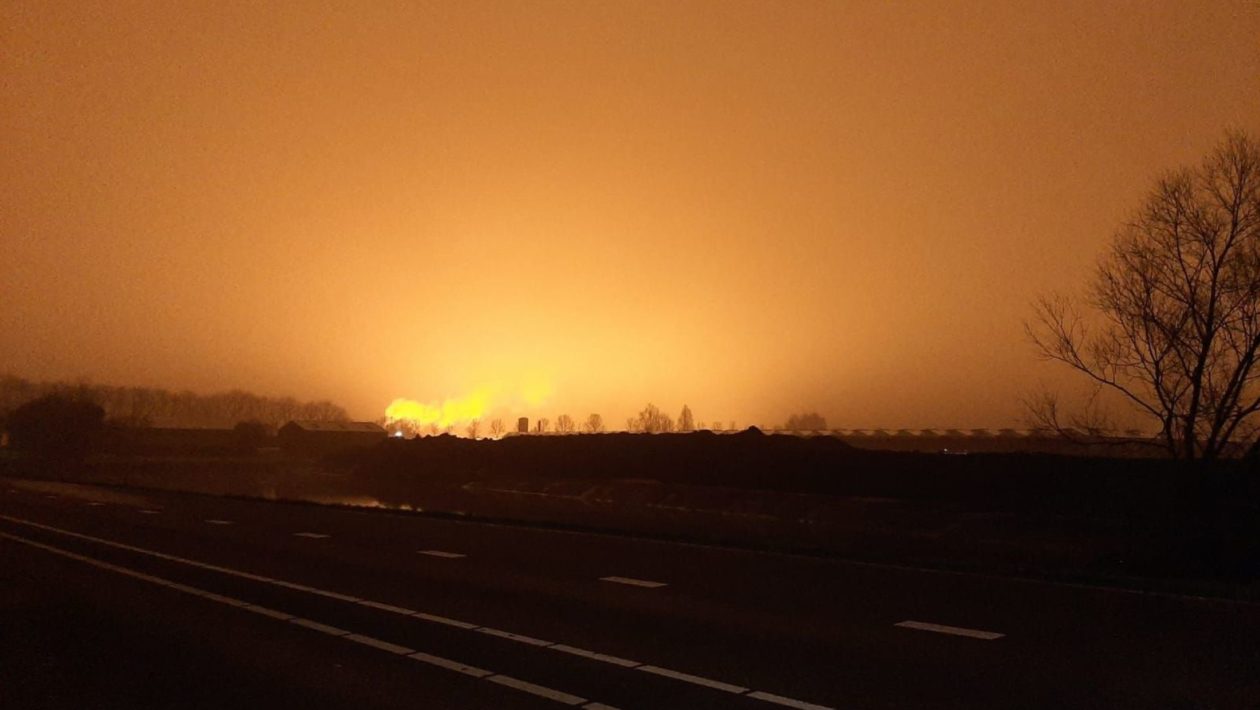 Lichtvervuiling van de kassen in Zaltbommel Foto: Stef den Tek  Foto: Omroep Gelderland