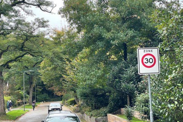 Politiek wil de snelheid in alle dorpen verlagen naar 30 km per uur Foto: Martin Slijper