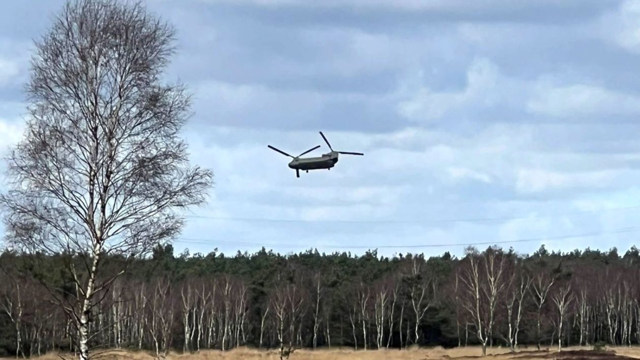 Chinook-helikopter Foto: Studio Rheden