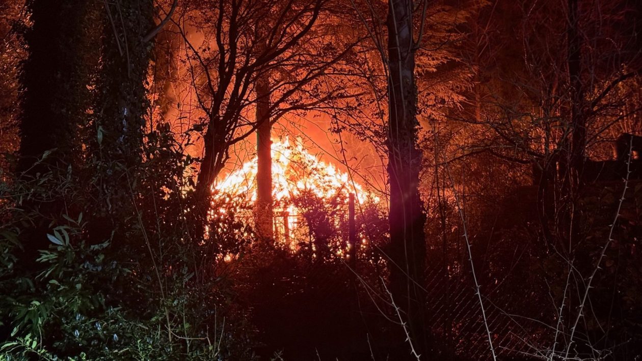 Houten bijgebouw in Velp volledig afgebrand Foto: Martin Slijper