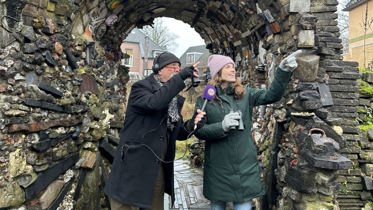 Daar! Daar vliegt die grote gele kwikstaart. Natuurlijk net buiten de opnames. Zal je altijd zien! Foto: Omroep Gelderland