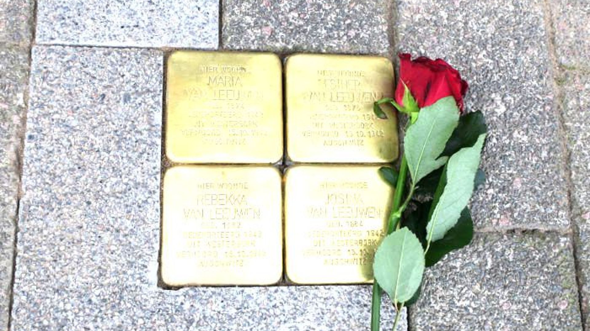 Struikelstenen gelegd in Ellecom en Rheden