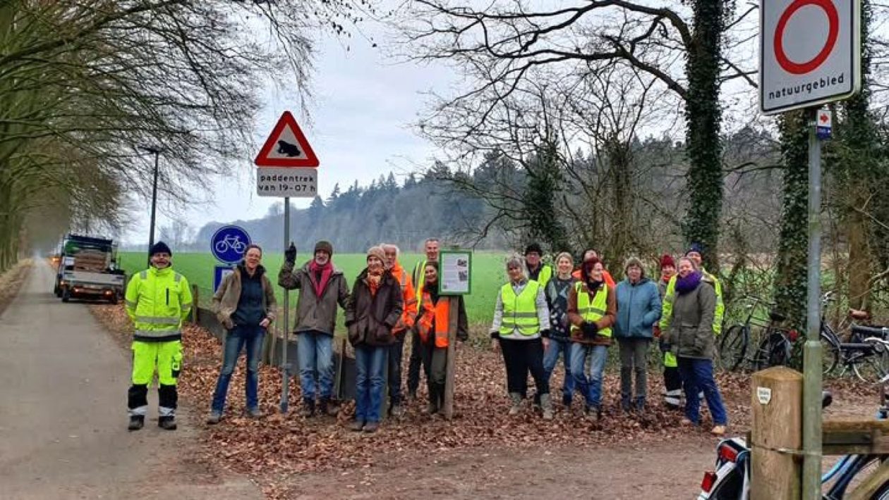 Paddenwerkgroep Rheden Foto: Ruth Frederiks