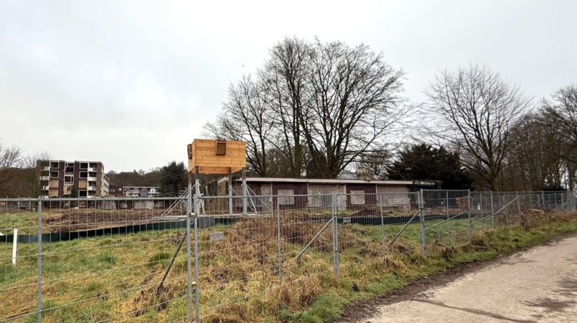 Opvang voor vleermuizen naast oude bejaardenhuis Foto: Martin Slijper