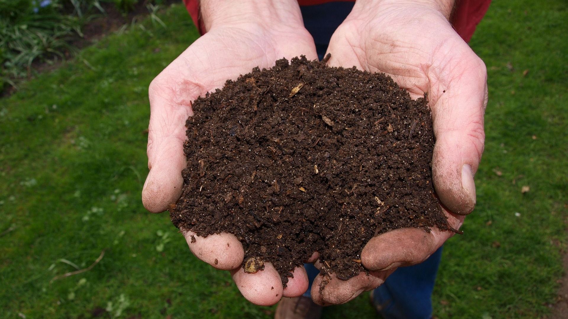 Gratis compost voor tuiniers in Velp en Dieren