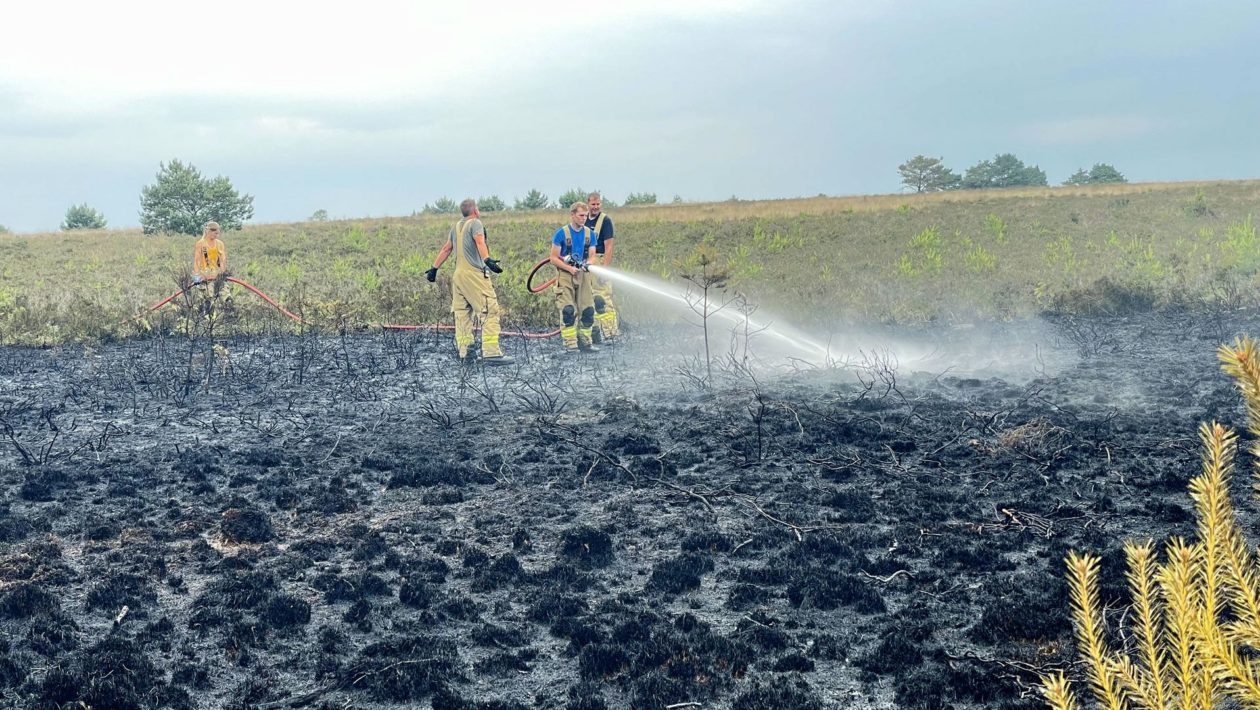 Snelle actie brandweer voorkomt grootschalige uitbreiding van bosbrand Foto: Martin Slijper