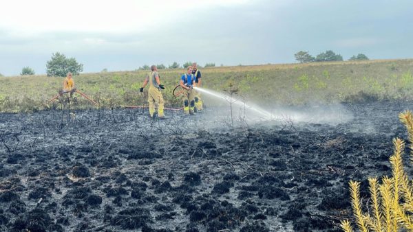 Snelle actie brandweer voorkomt grootschalige uitbreiding van bosbrand Foto: Martin Slijper