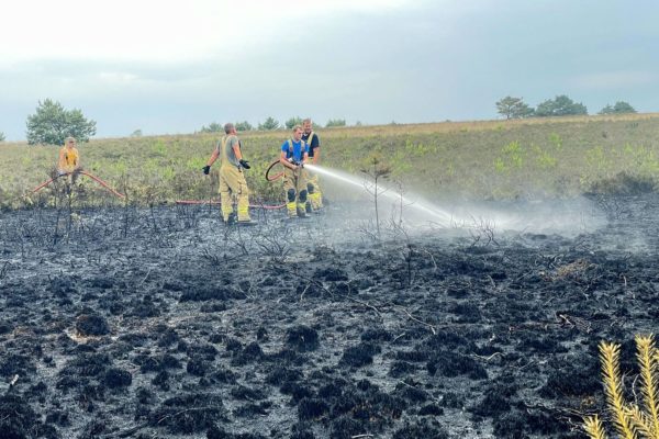 Snelle actie brandweer voorkomt grootschalige uitbreiding van bosbrand Foto: Martin Slijper