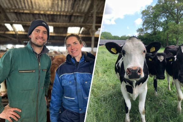 Links: Maaike en Joël. Rechts: een koe