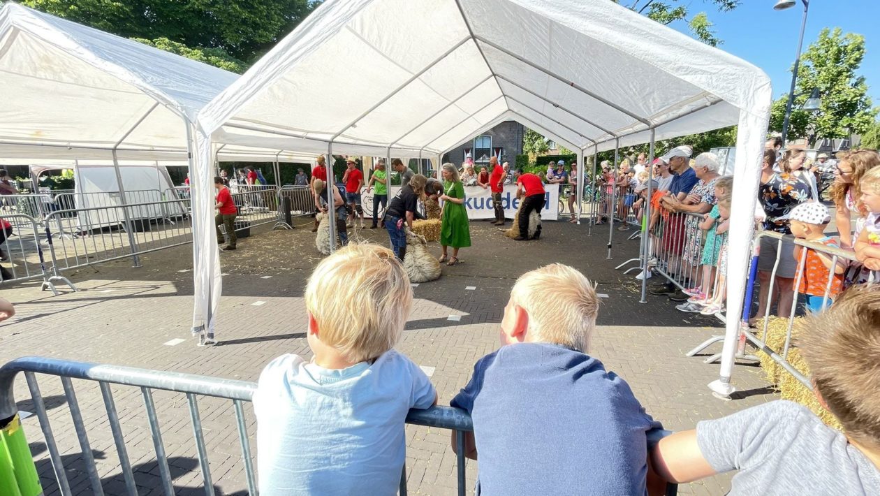 Het Bonte Schaapfestival in Rheden Foto: Martin Slijper