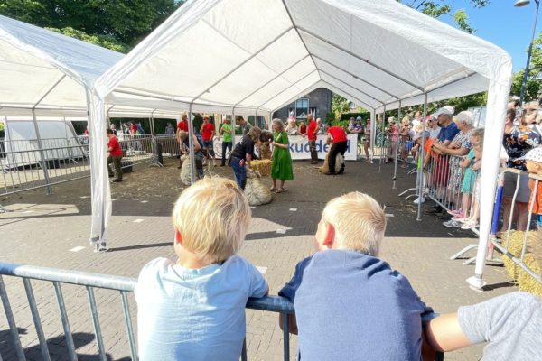 Het Bonte Schaapfestival in Rheden Foto: Martin Slijper